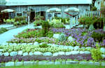 Plant Shop At Cullen Gardens