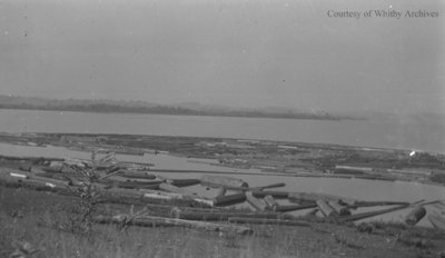 Floating Logs in a Lake, c.1915