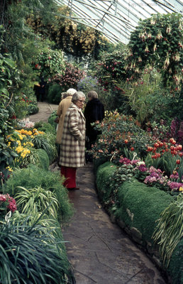 Brock Greenhouse, June 1976