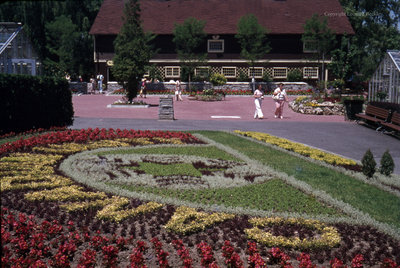 Edward Gardens, July 1978