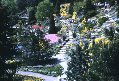 Garden Pathways, July 1978