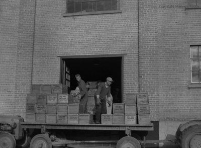 Red Wing Orchards, October 14, 1950