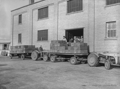 Red Wing Orchards, October 14, 1950