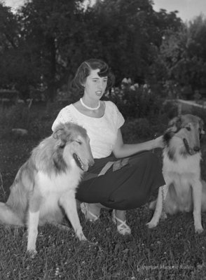 Rowley Champion Collies, August 6, 1950