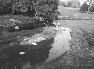 Nick and Heather Thorah, May 23, 1950