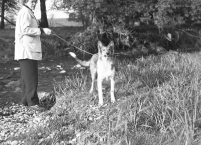 Heather Thorah and Dog, May 23, 1950