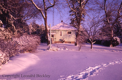 Leonard Beckley's Backyard, November 21, 1986