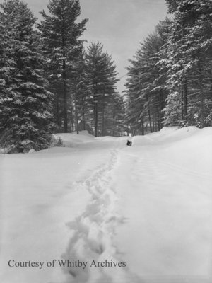 Byeways Lodge, c.1946