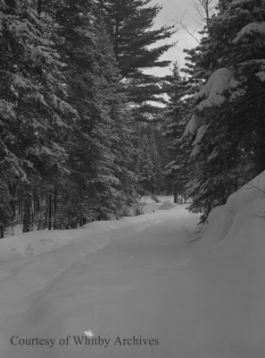 Byeways Lodge, c.1946