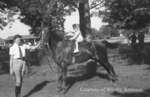 Horse Show, August 16, 1939