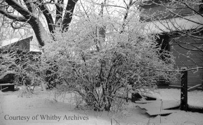 Snow Scene, January 1939