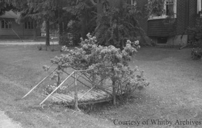 Rose Bridge, July 1939