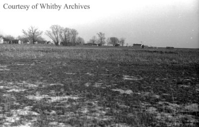 Cranberry Marsh, January 1938