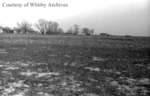 Cranberry Marsh, January 1938