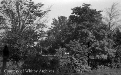 Crawforth Farm, October 12, 1938