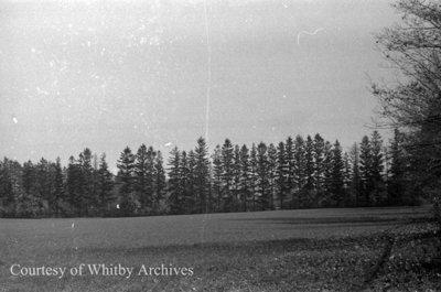 Crawforth Farm, October 12, 1938