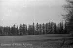 Crawforth Farm, October 12, 1938