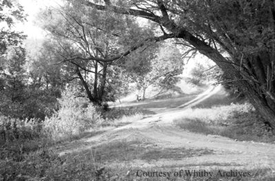 Devil's Den, August 1, 1938