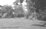 Gardens at 600 King Street, July 5, 1939