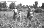 Collins Onion Farm, August 17, 1938