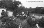 Borves Family Peonies, June 1939