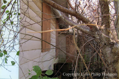 The North Side of the Last Remaining Camp X Building, c.2012