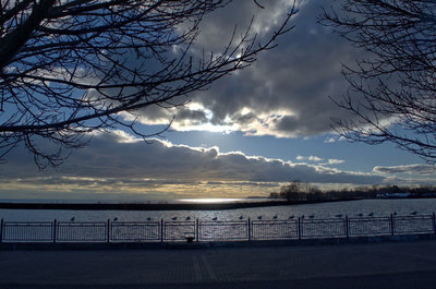 The view from Whitby harbour.