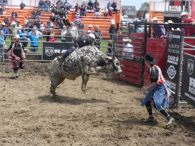 Bull Riding at the Brooklin Spring Fair, c.2017