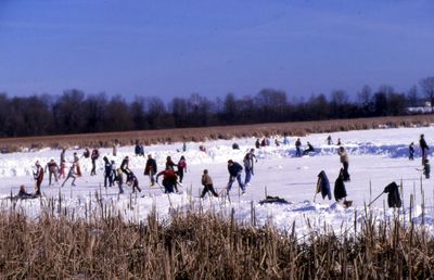 Skating at Cranberry Marsh