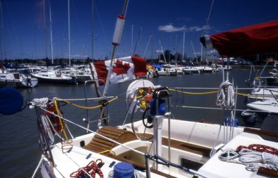 Sailboat in Port Whitby Marina