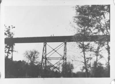 Completed Trestle over Devil's Den