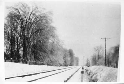 Railroad Tracks through Arksey's Woods