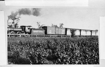 Train on Port Whitby and Port Perry Railway