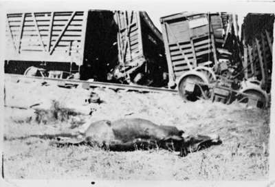 Mule Train Wreck on Canadian Pacific Railway