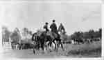 Horses and Riders at Whitby Horse Show, c.1913-1914