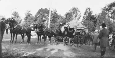 Horses and Carriage at Whitby Horse Show