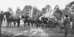 Horses and Carriage at Whitby Horse Show