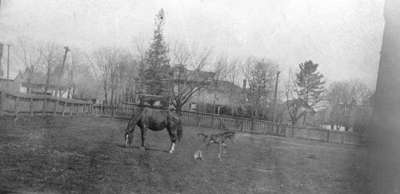 Intersection of Byron and Colborne Streets, c.1910