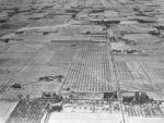 Red Wing Orchards, 1929