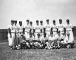 Larry's B.A. Inter-County Senior Baseball Team, 1956