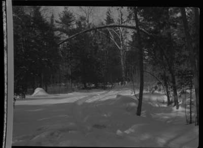 Byeways Lodge, April 1946