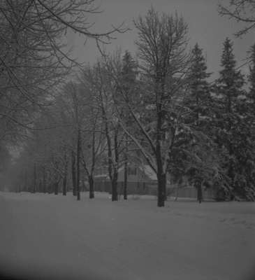 Harry Donald Residence in Winter, 1945