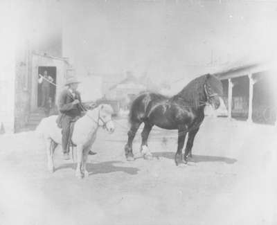 Clydesdale Horse and Man Riding Pony behind Brooklin Hotel