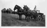 Kay Irwin driving a horse drawn wagon at Brooklin Spring Fair
