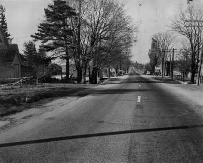 Looking north on Highway 12, Myrtle