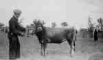 John Batty with Jersey Bull at Brooklin Spring Fair