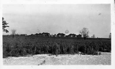 Marsh at the Military Convalescent Hospital, c.1917-1920