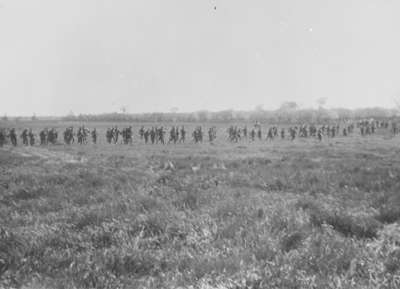 116th Battalion Soldiers at Military Review, 1916