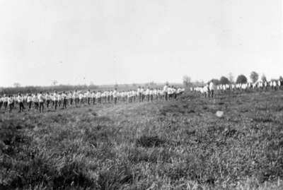 116th Battalion Soldiers at Military Review, 1916