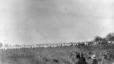 116th Battalion Soldiers Performing a Calisthenics Drill at Military Review, 1916